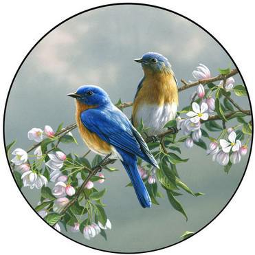 Птички - цветы, салфетка, животные, птицы, круглое - оригинал