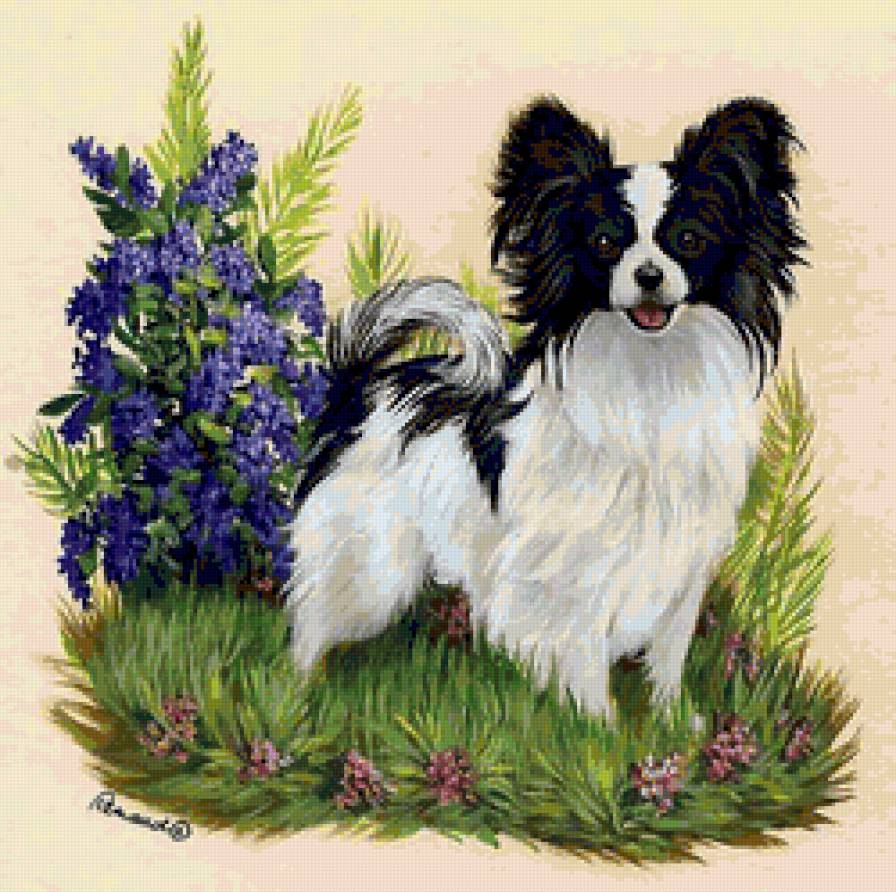 Собачка - цветы, собачка, пес, животные, звери, собака - предпросмотр
