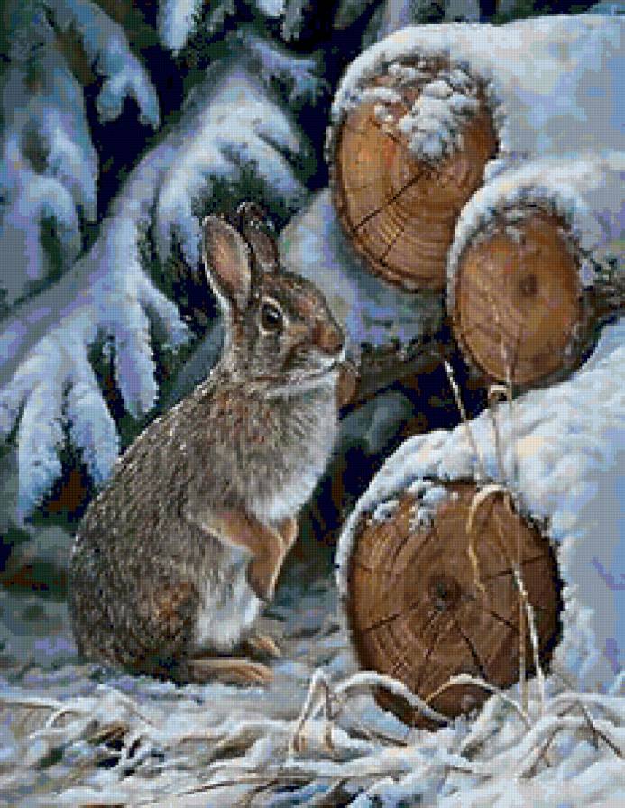 Кролик - кролик, лес, животные, снег, бревна, зимний лес, зима, звери, заяц - предпросмотр