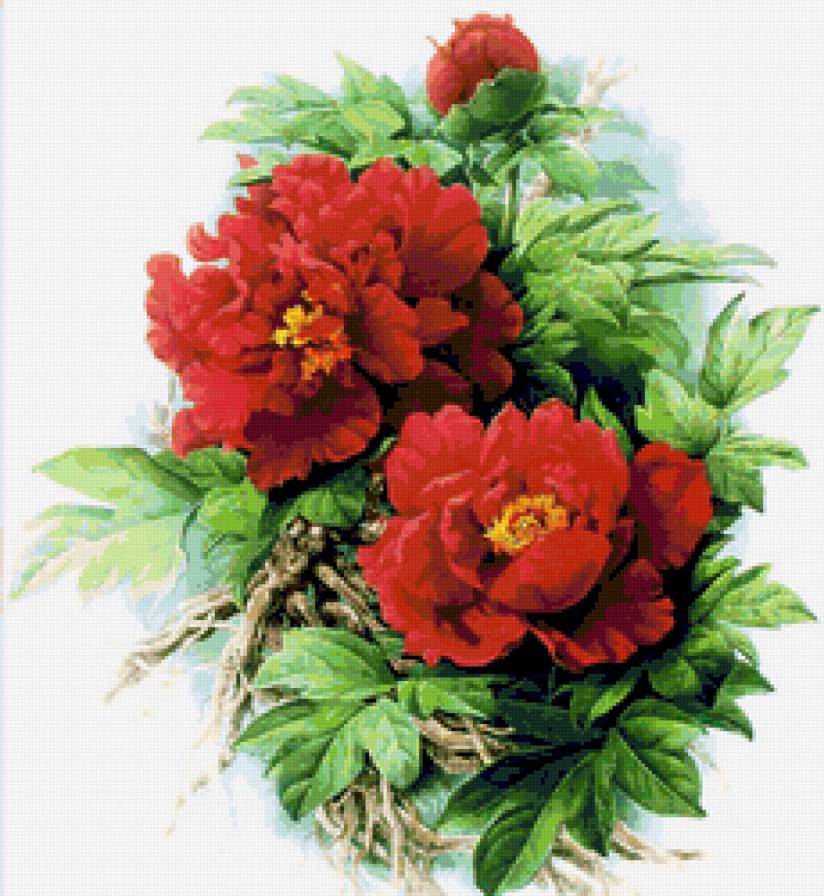 Розы - букет, цветы, красное - предпросмотр