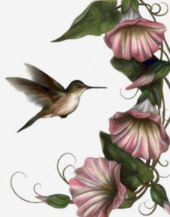 Птица - цветы, птицы, птички - предпросмотр