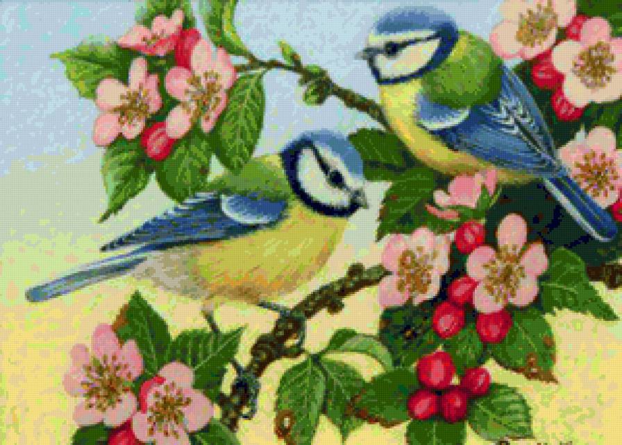 Птички на ветке - ягоды, птицы, птички, цветы - предпросмотр