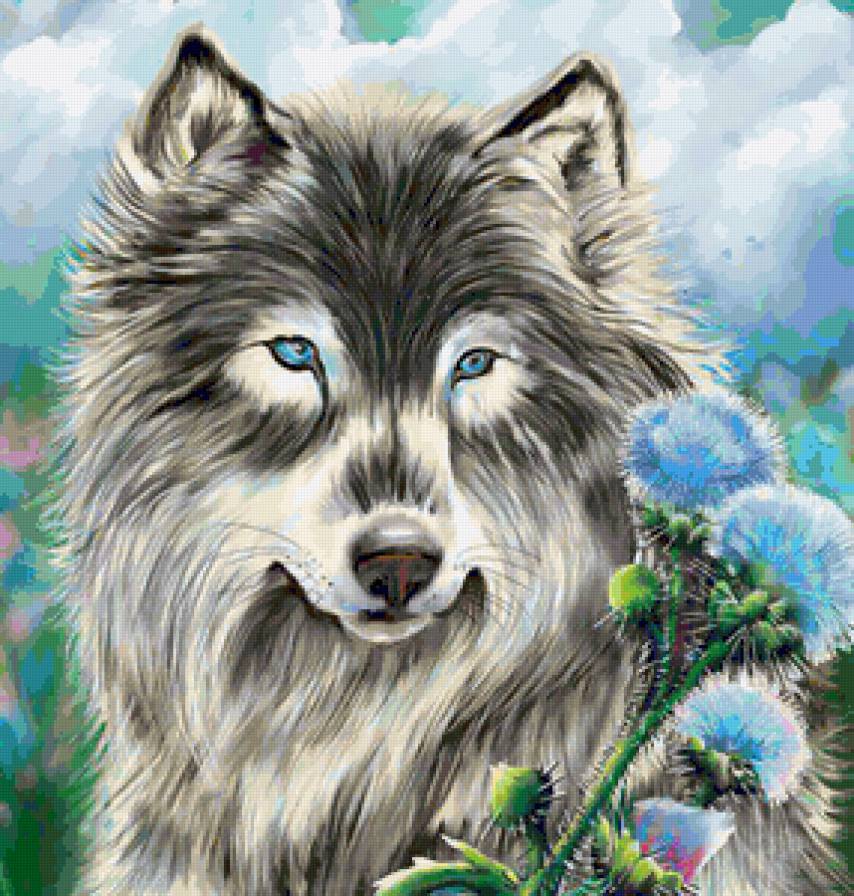 Волк - волки, цветы, дикие животные, звери, голубое, животные, волк - предпросмотр