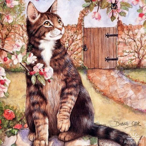 Кот - животные, коты - оригинал