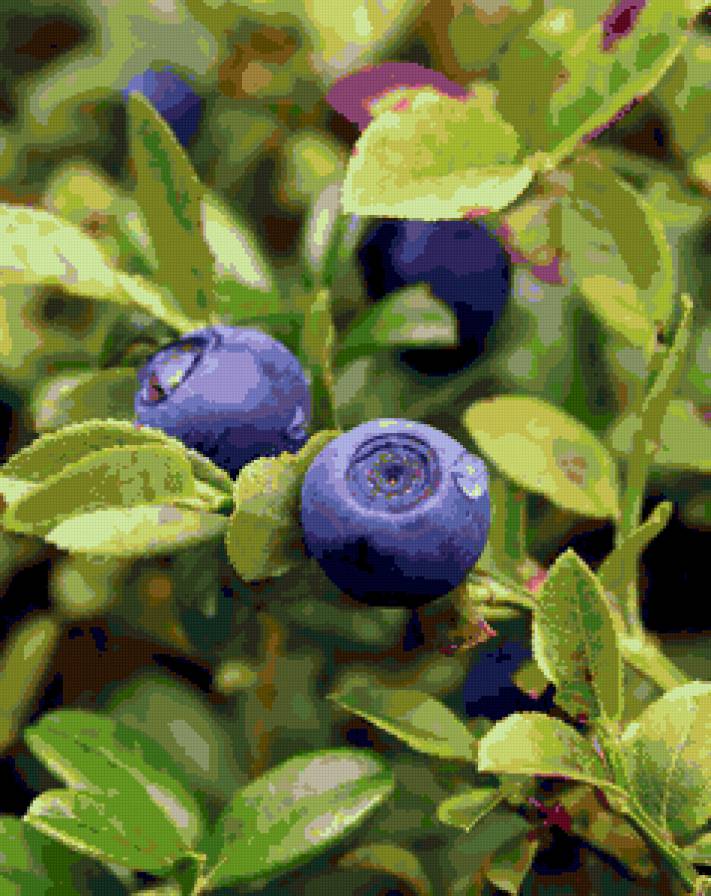 Триптих "Лесные сокровища" часть 1 - триптих, лес, черника - предпросмотр