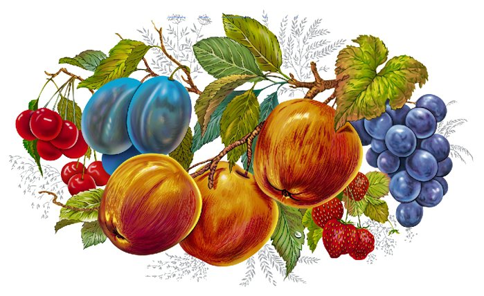 Фрукты - еда, для кухни, натюрморт, яблоко, фрукты, слива, ягоды - оригинал