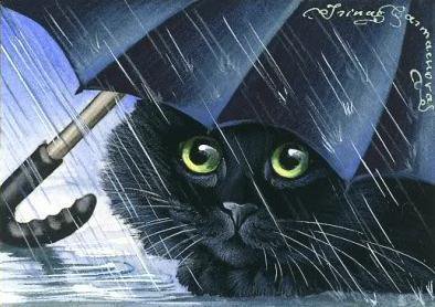 черный кот под зонтом - дождь, кот, зонт - оригинал