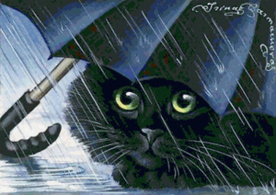 черный кот под зонтом - дождь, зонт, кот - предпросмотр