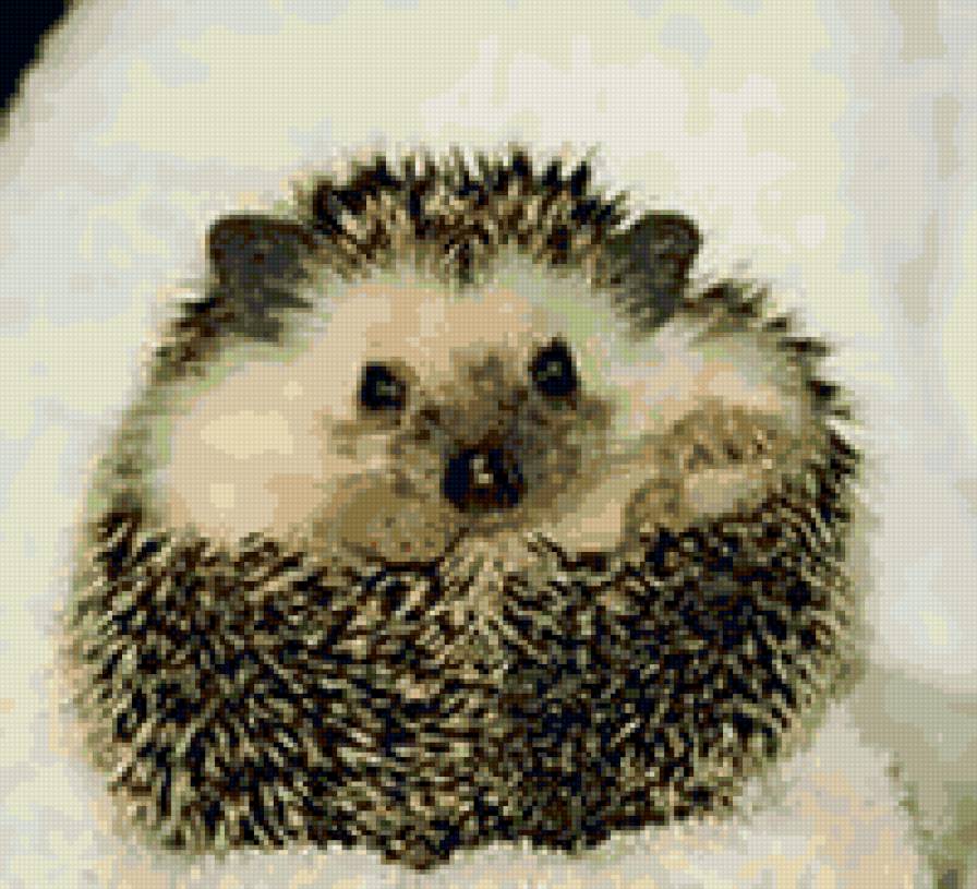 ёжик - подушка - предпросмотр