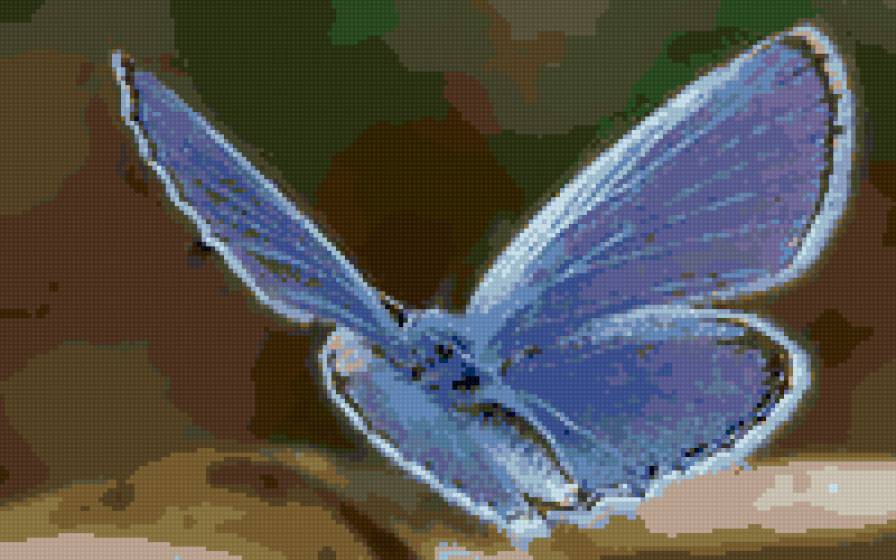 бабочка - подушка - предпросмотр