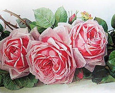 Оригинал схемы вышивки «розы» (№97639)