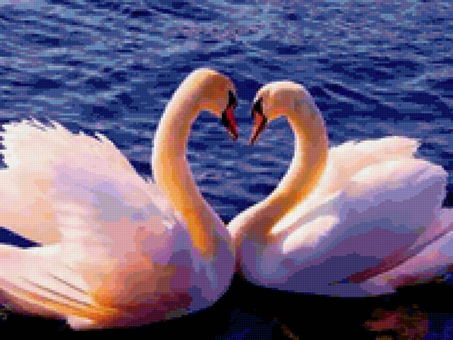 Лебеди - лебеди - предпросмотр