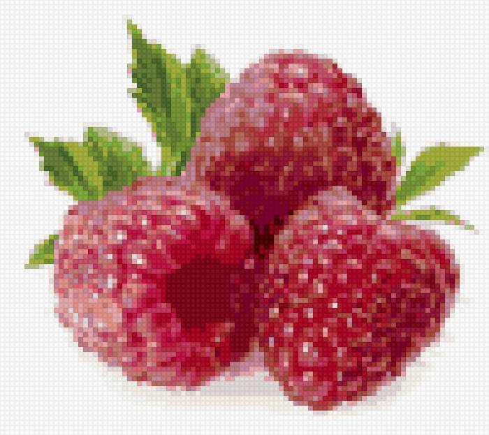 Для кухни - ягоды - предпросмотр