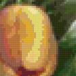 Предпросмотр схемы вышивки «тюльпаны в вазе» (№97715)