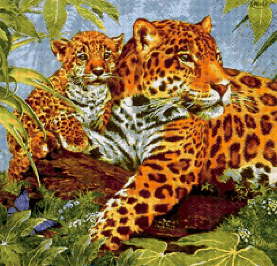 Леопарды - предпросмотр