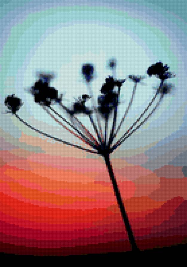 Растение на закате - закат, растение - предпросмотр