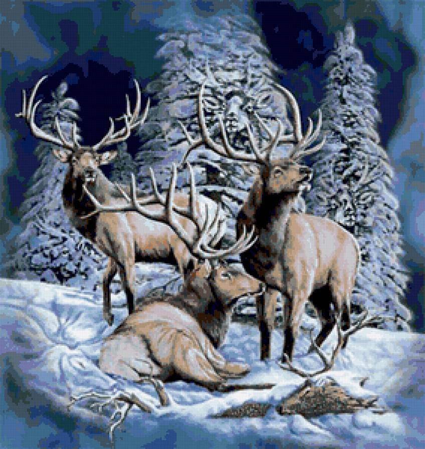 Олени - предпросмотр