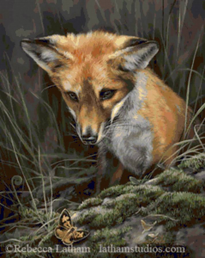 Лисёнок и бабочка - животные, природа, лиса, бабочки, лисенок, бабочка - предпросмотр