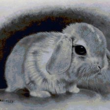Схема вышивки «Чёрно-белый кролик))»
