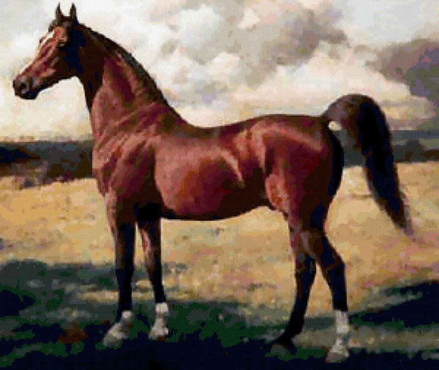 Грациозная лошадка) - лошадка, лошадь, животные - оригинал