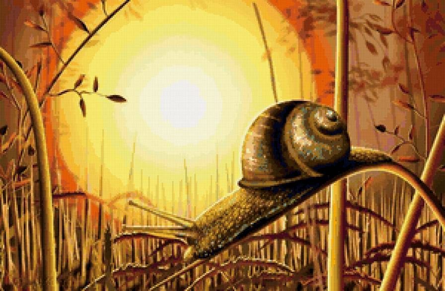 улитка на закате - предпросмотр