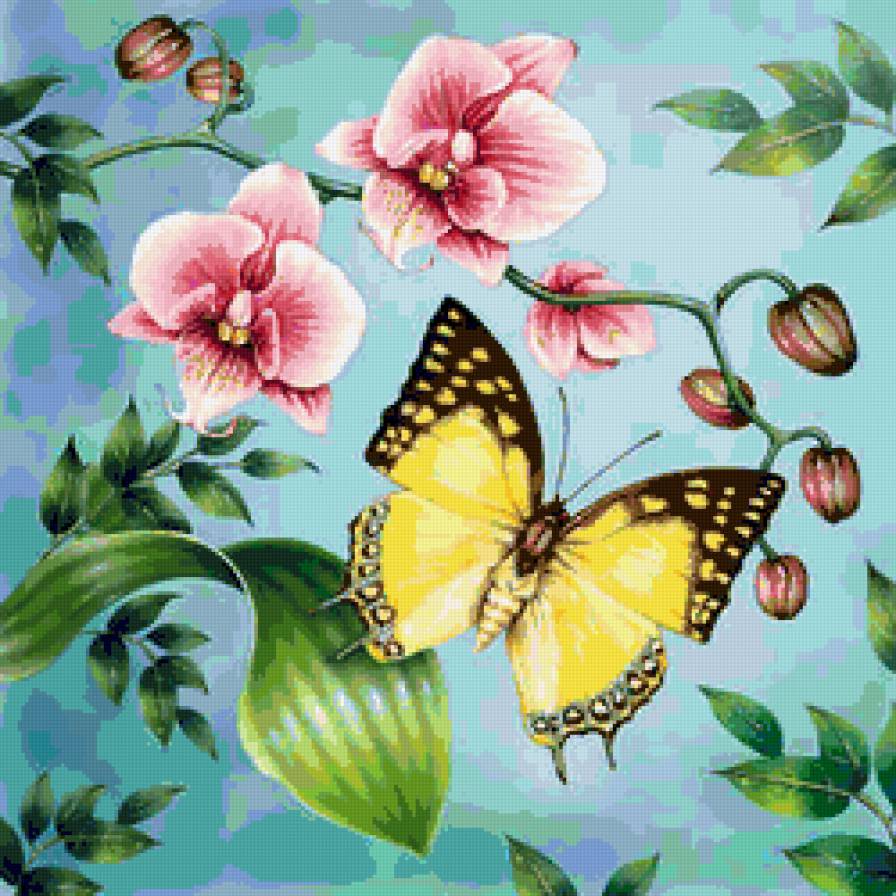 Бабочка - предпросмотр