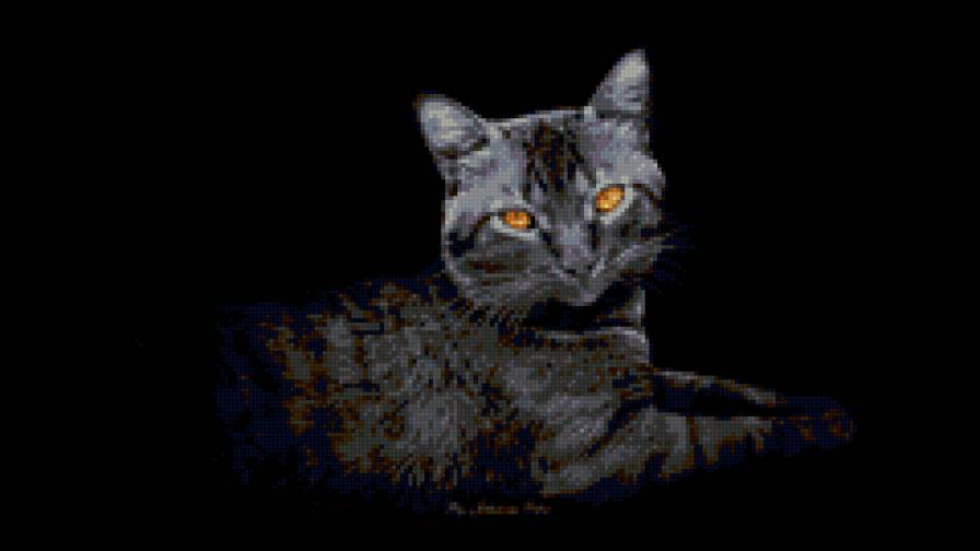 Ночной кот - кошка кот - предпросмотр