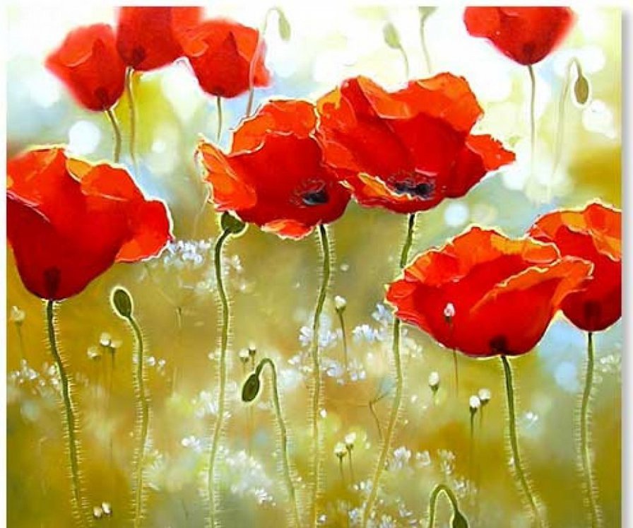 маки - оригинал