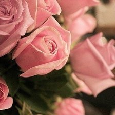 Схема вышивки «№98172»