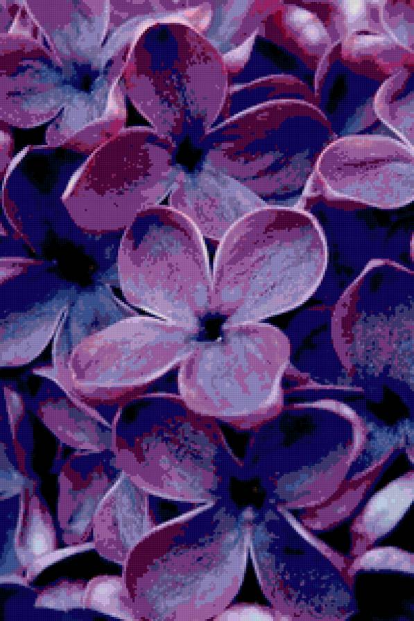 №98217 - сирень, картина, текстура, цветы - предпросмотр