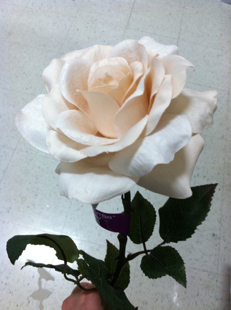 №98222 - цветы, розы, картина - оригинал