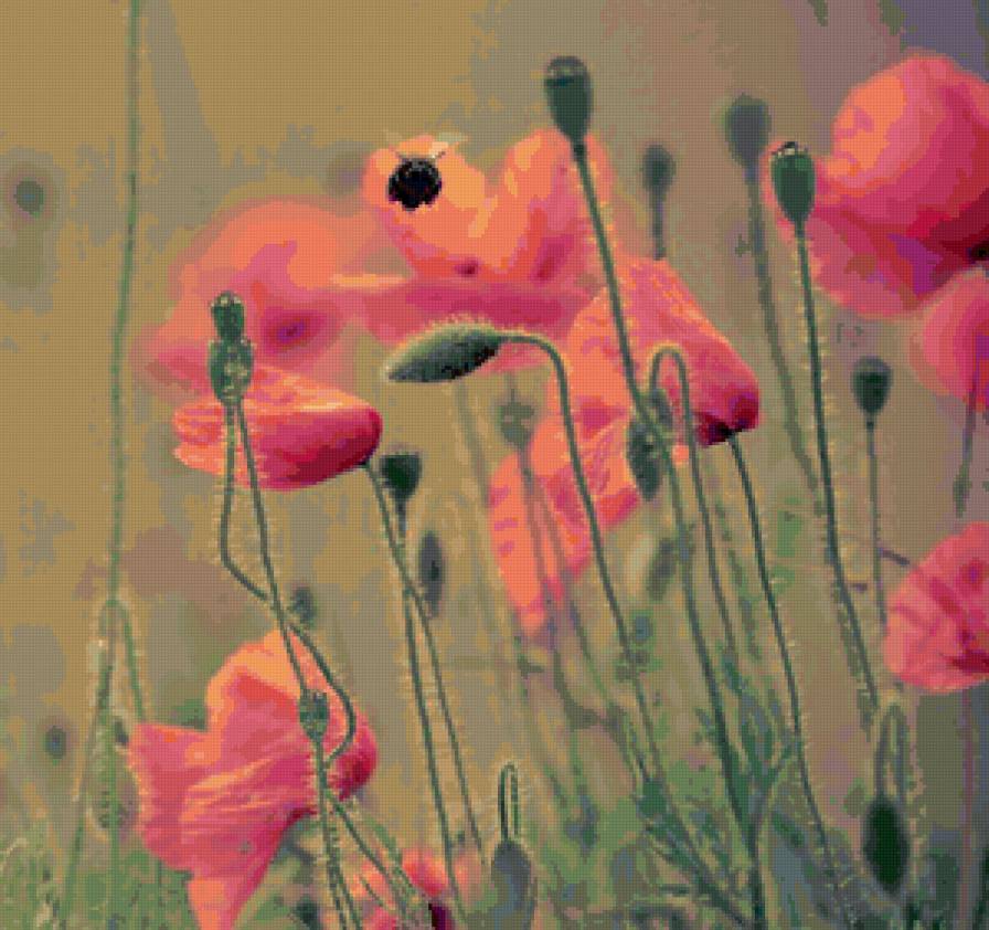 №98223 - подушка, цветы, маки, картина - предпросмотр