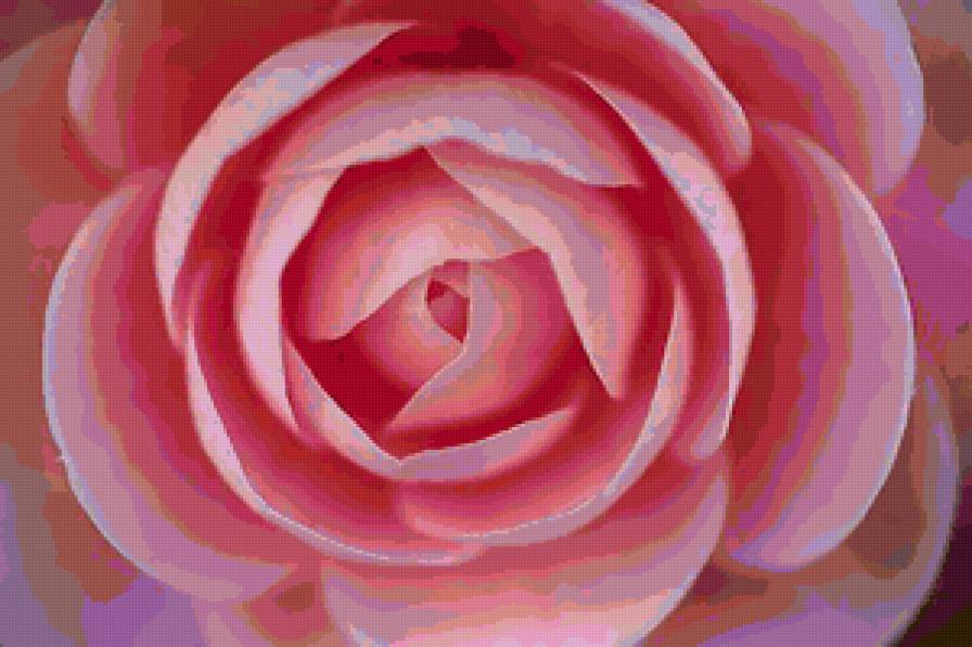 №98251 - цветы, картина, розы - предпросмотр