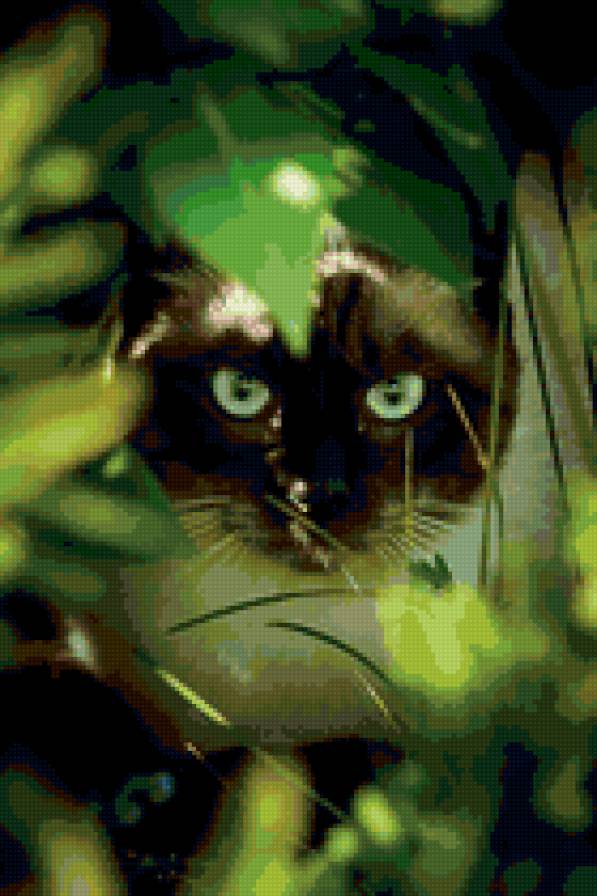 Сиамская кошка - кошка, зелень, котэ, сиамская, зеленое, кот - предпросмотр