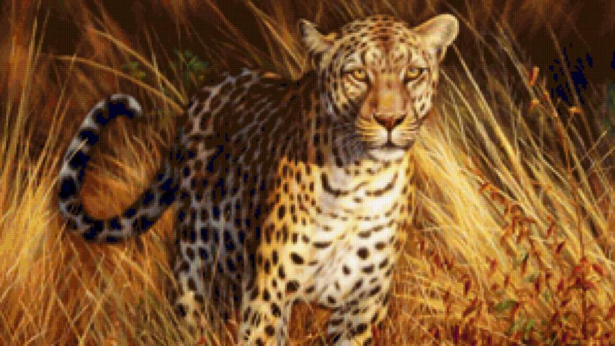 животные - предпросмотр