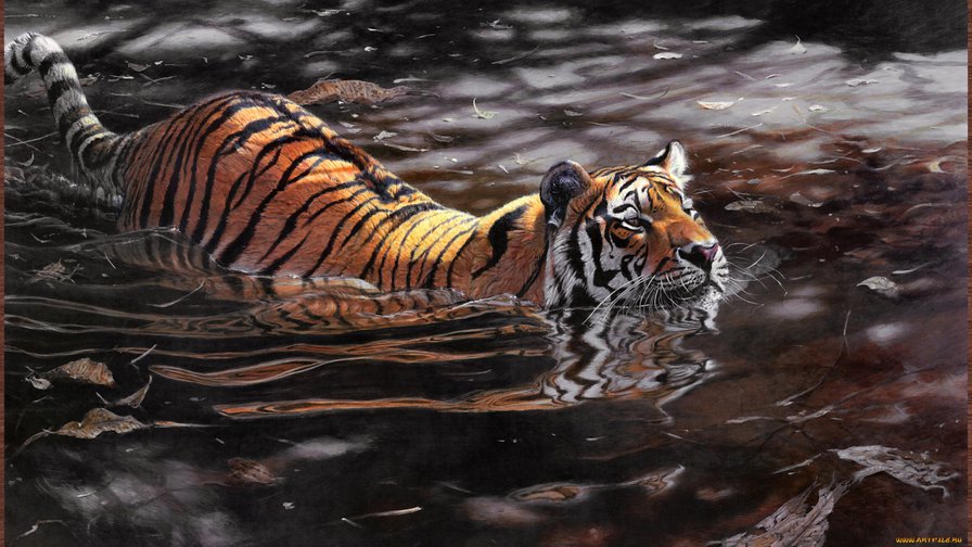 животные - оригинал