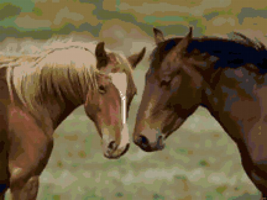 лошади - лашади, животные - предпросмотр