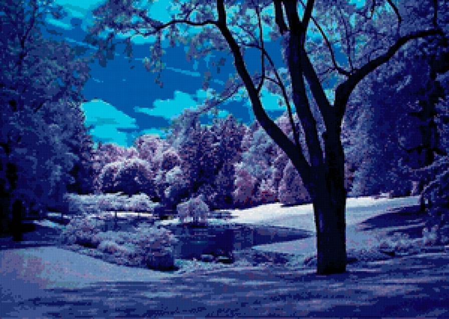 Ночь. Зима. - зима, ночь, природа, лес, пейзаж, снег - предпросмотр