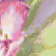 Предпросмотр схемы вышивки «тюльпаны» (№98980)