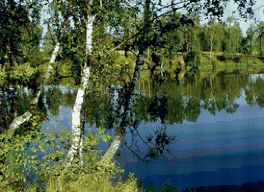 Березы у реки - пейзаж, лес, река, природа, лето - предпросмотр