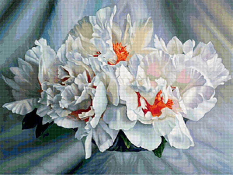 Серия "Букет" - цветы, букет, пионы - предпросмотр