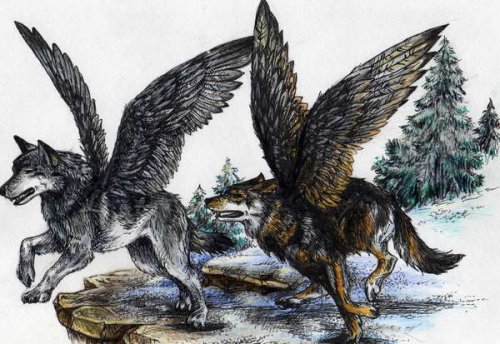 Симураны - симураны, фентази - оригинал