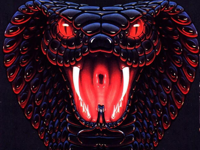 змея - оригинал