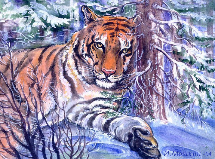 Тигр - животные, тигр, тигры, снег, звери, зима, природа - оригинал