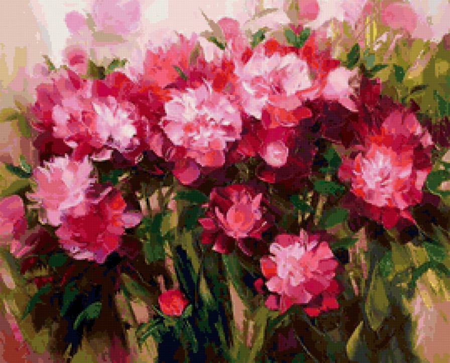 розовое поле - розовые цветы, цветы, поле - предпросмотр