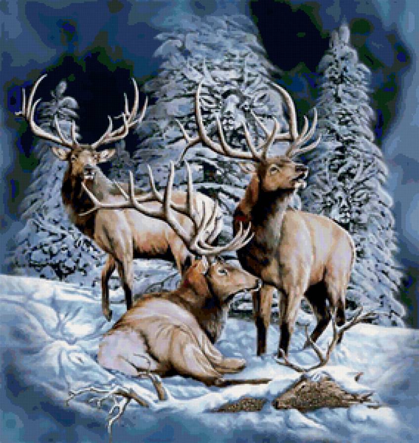 олени - животные, олени - предпросмотр