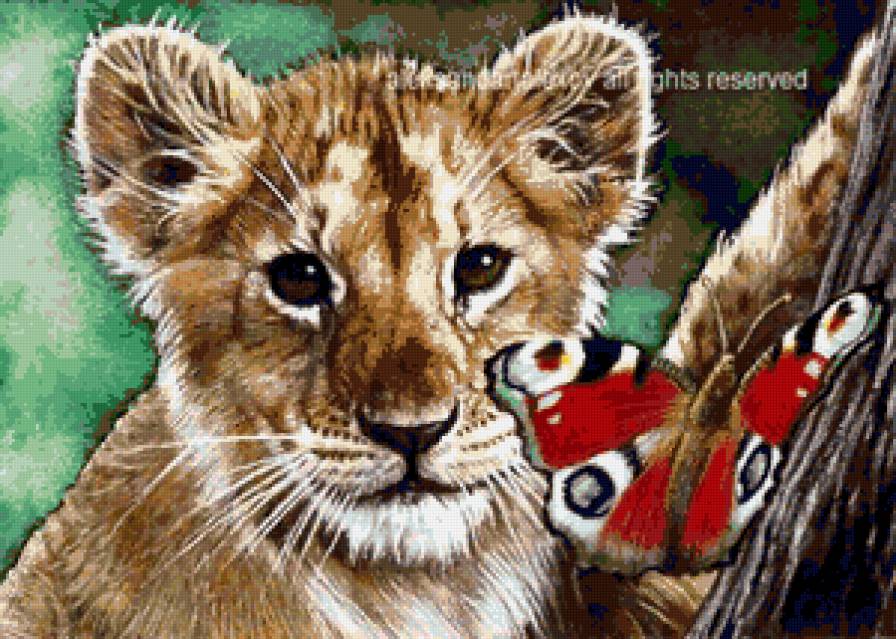 Львёнок и бабочка - дикие кошки, бабочка, львы, малыши, животные, лев, бабочки - предпросмотр