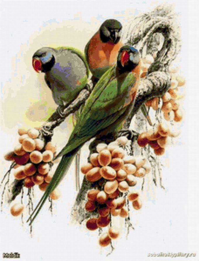 №99740 - птицы, животные, пейзаж - предпросмотр