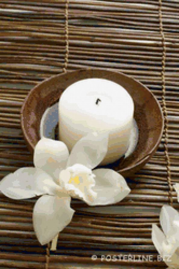 Натюрморт со свечой - бамбук, орхидея, натюрморт, свеча, цветок - предпросмотр