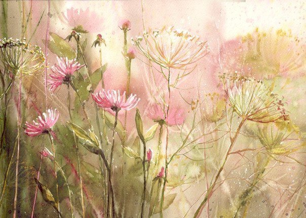 акварель - цветы, полевые - оригинал